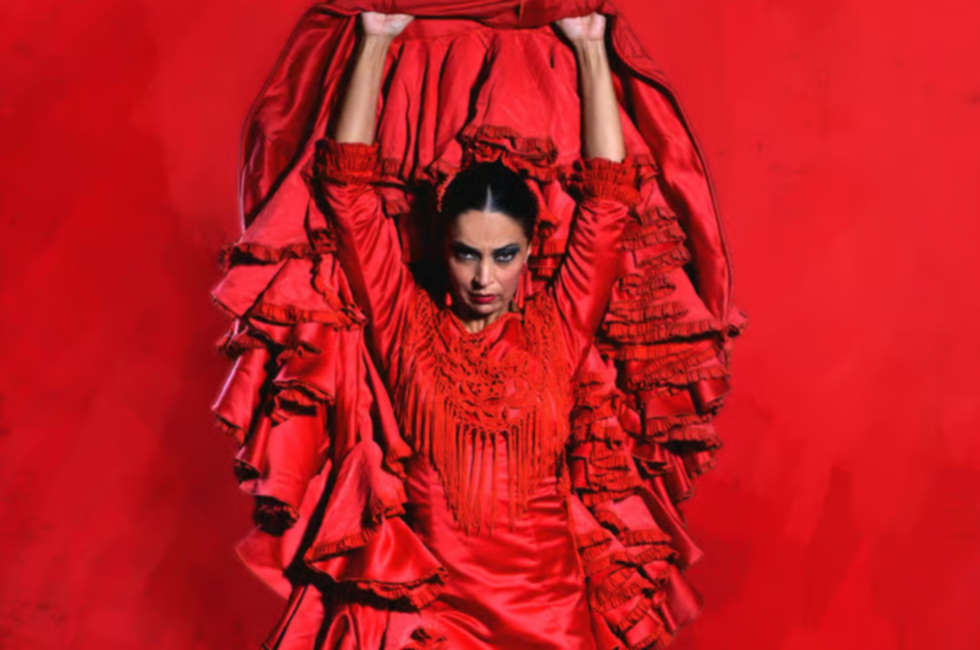 Seville Live Flamenco Dancing Show Ticket